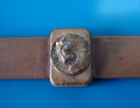 合肥特达电气有限公司电铸铜覆钢扁线简介